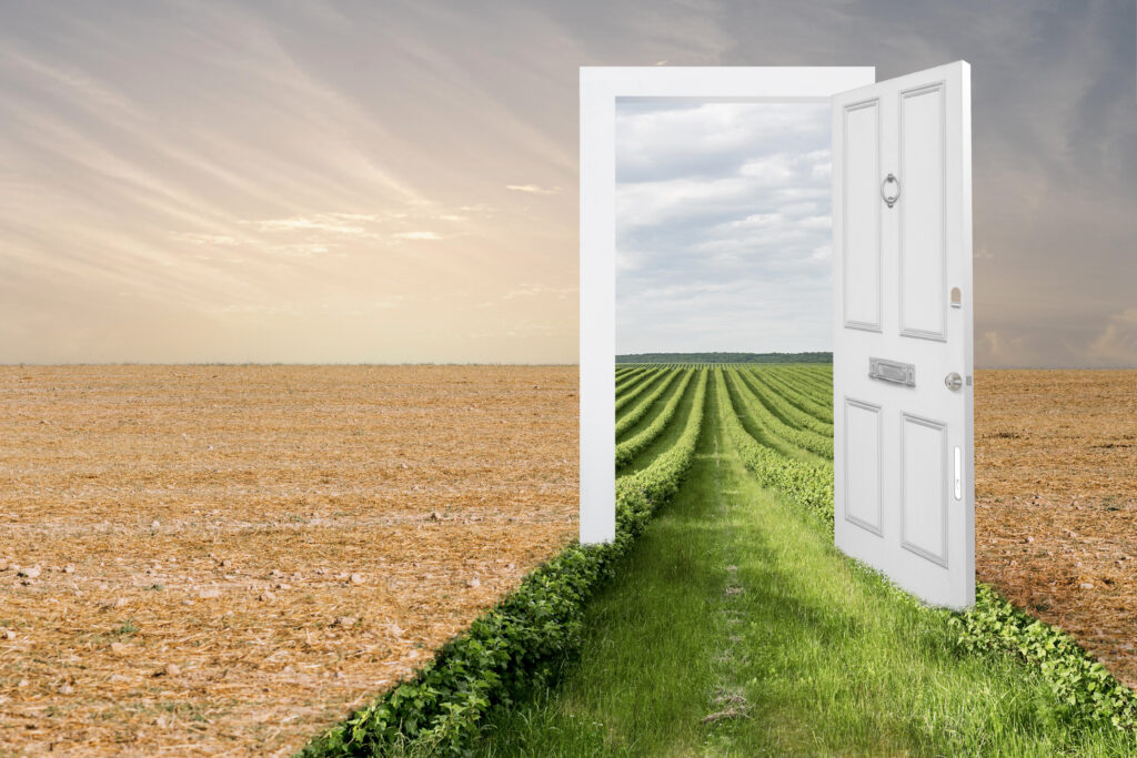 Exit Renewal