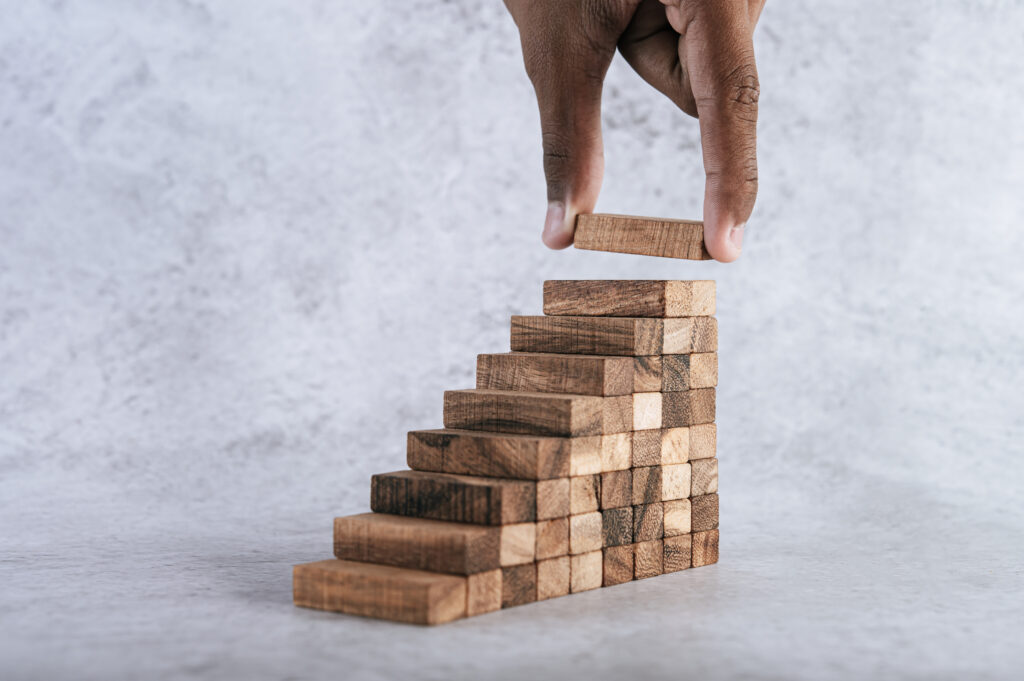 Expansion Stage (Strategic Growth)