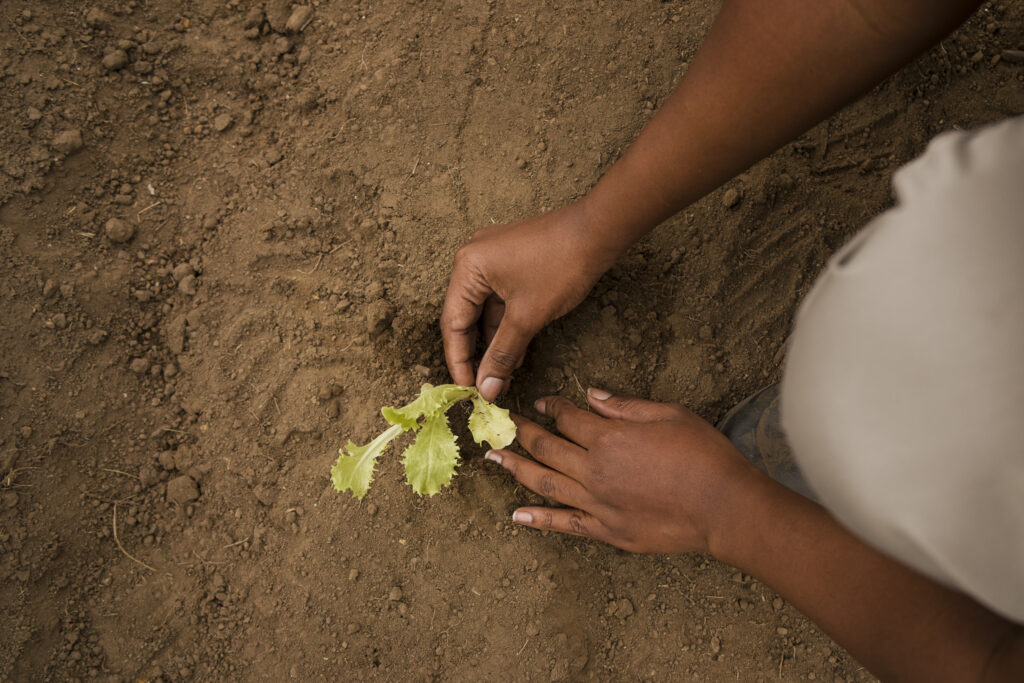 Seed Stage (Conceptualization) – Where Vision Meets Validation
