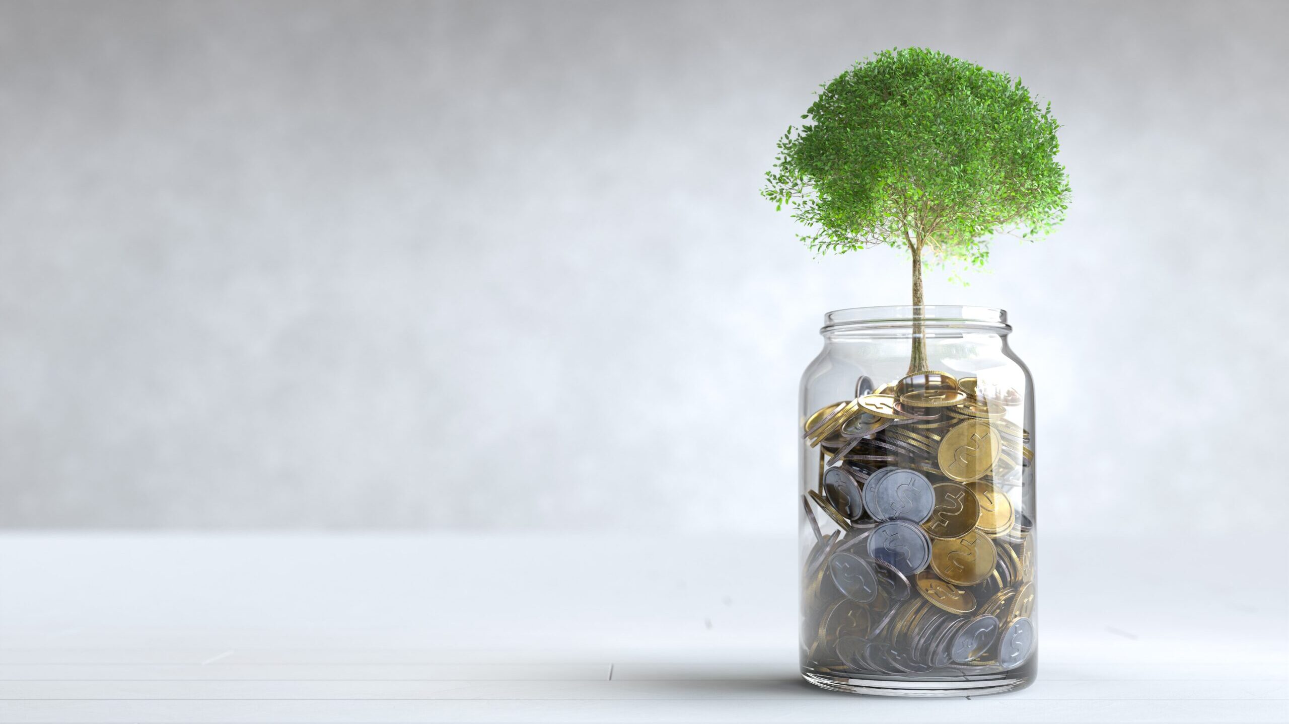 The Easiest Business Loans for Startups