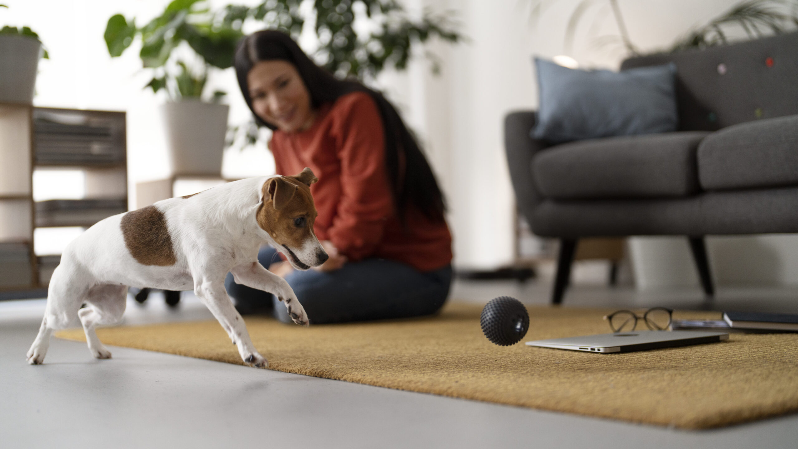 Pet Tech & Wearables